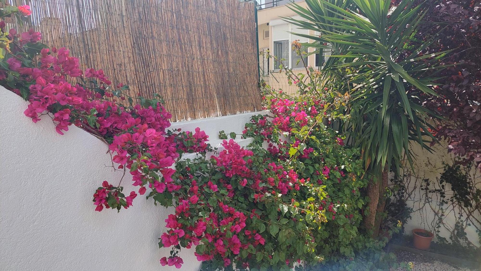 Apartment With Private Garden - Central Location 리스본 외부 사진